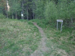 Skilt som viser veien til Buvikløypa og Furuberget står på siden av stien på vei inn i skogen.